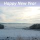 Peace and Prosperity for All in 2017!