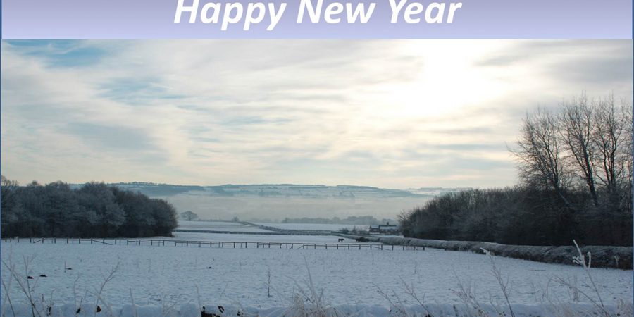 Peace and Prosperity for All in 2017!
