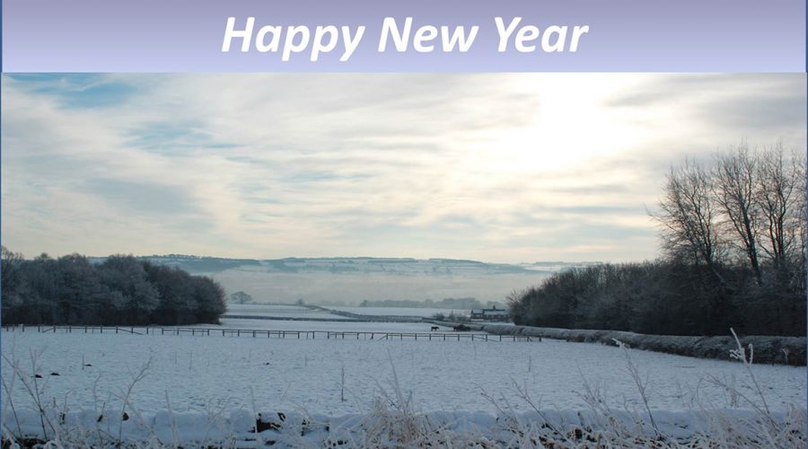 Peace and Prosperity for All in 2017!